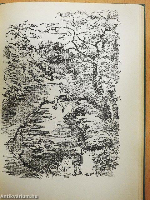 A gyermekszív rejtelmei