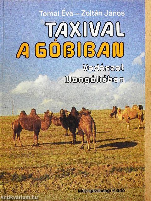 Taxival a Góbiban