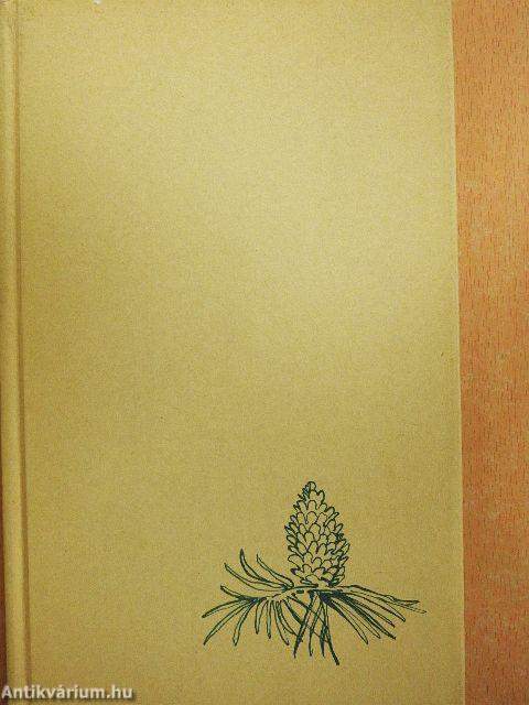 A karácsonyfalopás