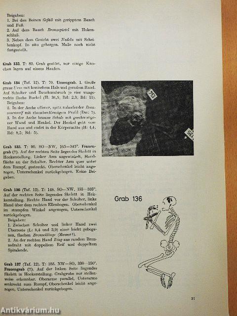 Das Bronzezeitliche Gräberfeld bei Tápé/Antropologische Auswertung des Bronzezeitlichen Gräberfelds bei Tápé