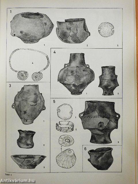 Das Bronzezeitliche Gräberfeld bei Tápé/Antropologische Auswertung des Bronzezeitlichen Gräberfelds bei Tápé
