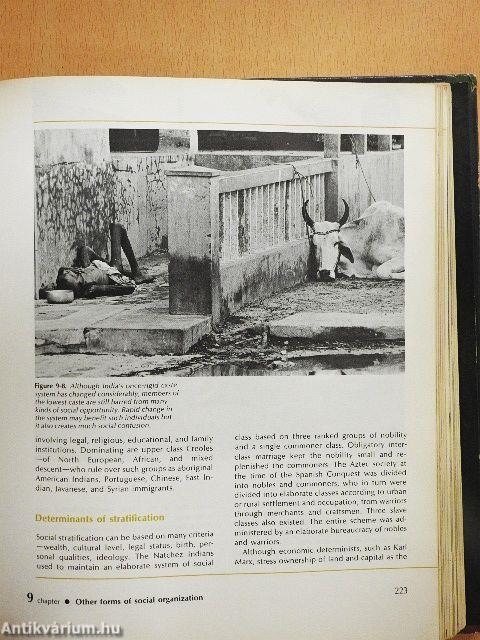 Cultural anthropology