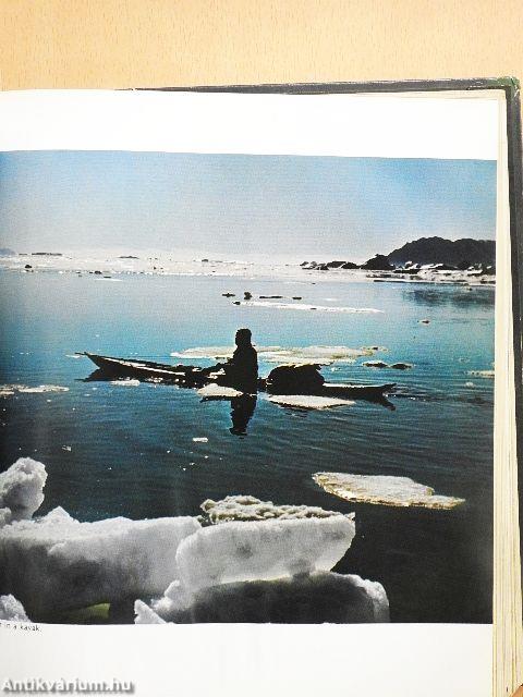 Cultural anthropology