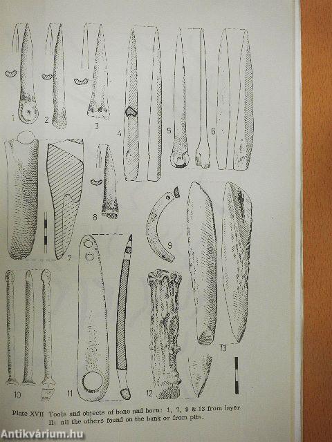 The Neolithic Settlement at Rast
