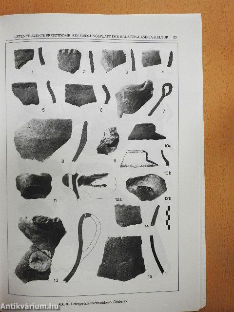 Neuere Daten zur Siedlungsgeschichte und Chronologie der Kupferzeit des Karpatenbeckens