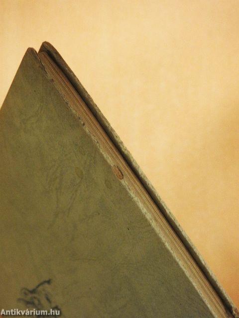 Durch die Wälder und durch die Auen...