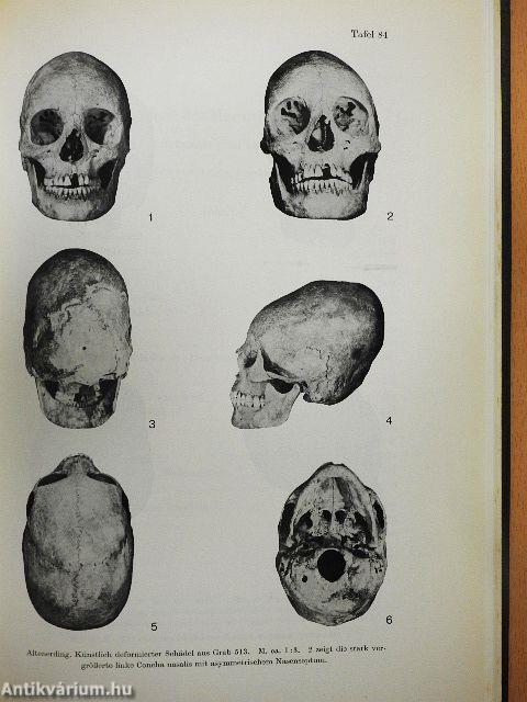 54. Bericht der Römisch-Germanischen Kommission