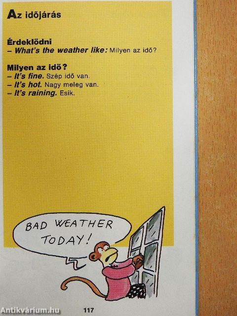 Képes angol szótár kezdőknek