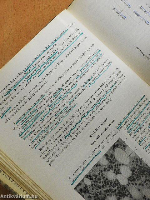 Háziállatok szövettana