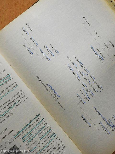 Háziállatok szövettana