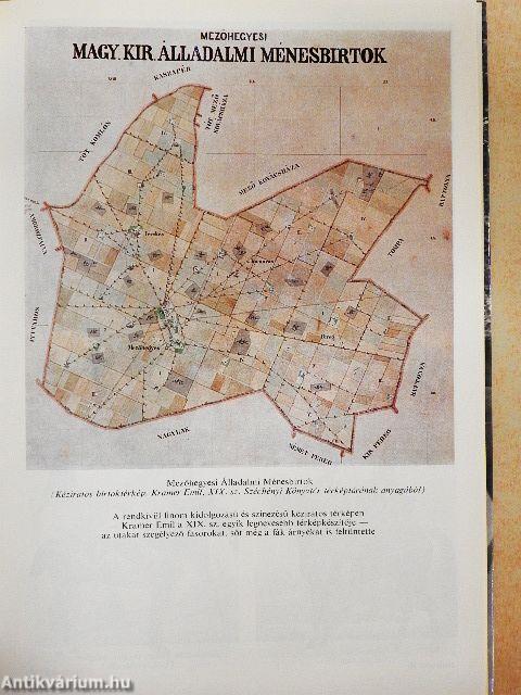 Mezőhegyes lótenyésztésének története