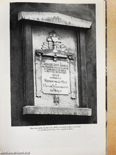 Mezőhegyes lótenyésztésének története