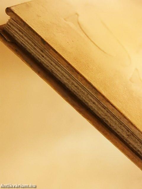 A közbülső világban