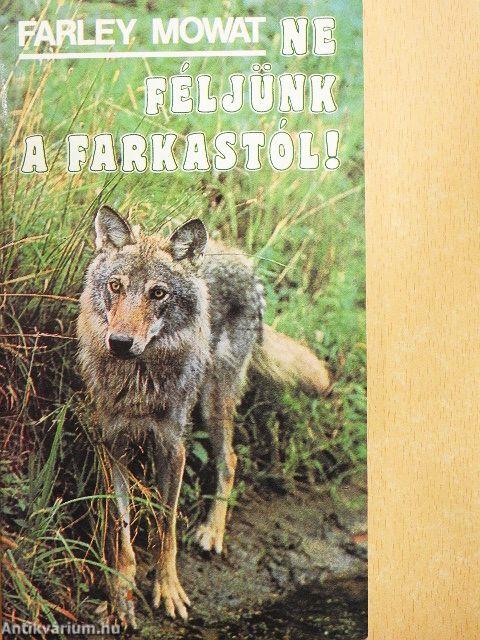 Ne féljünk a farkastól!