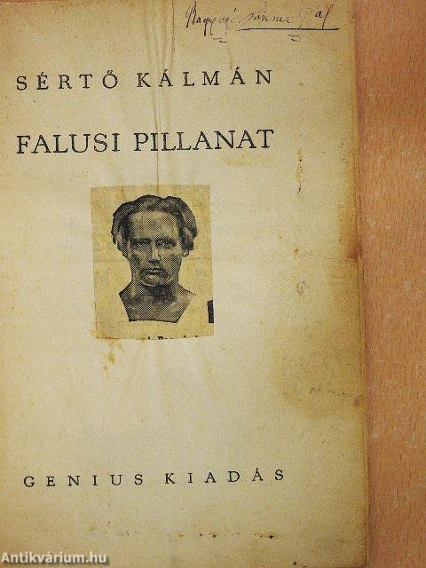 Falusi pillanat