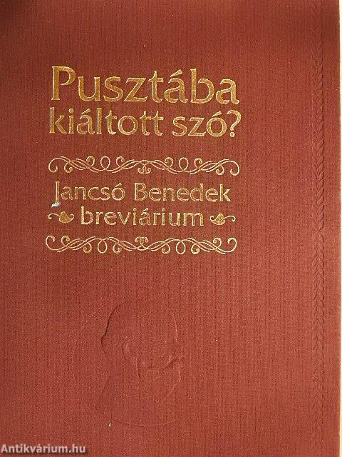 Pusztába kiáltott szó?