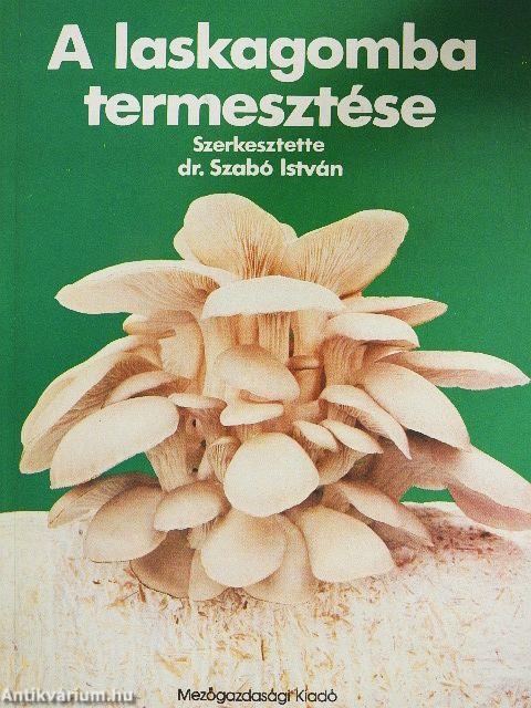 A laskagomba termesztése