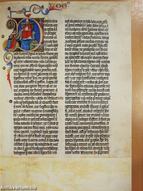 A Nekcsei-Biblia legszebb lapjai