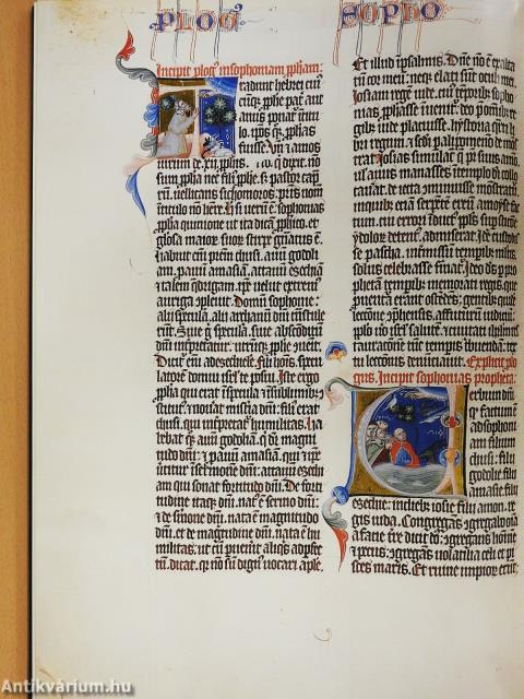 A Nekcsei-Biblia legszebb lapjai