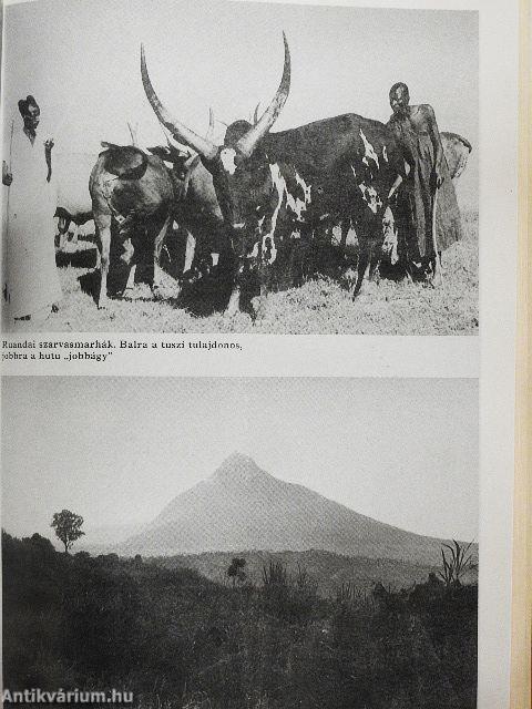 Húsz év Afrika szívében