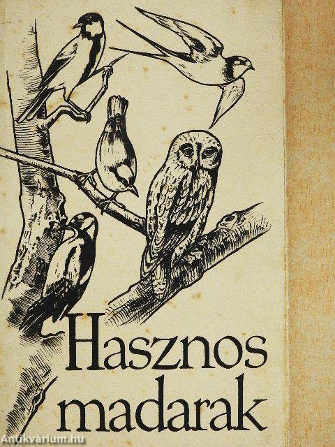 Hasznos madarak