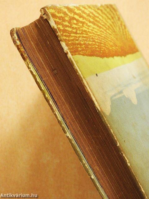 Új barázdát szánt az eke