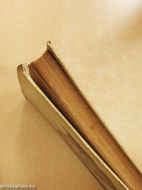 Daruszegi vasárnapok