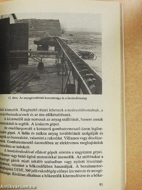 A laskagomba termesztése