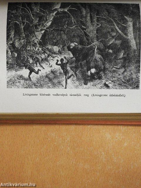 Hogyan találtam meg Livingstonet