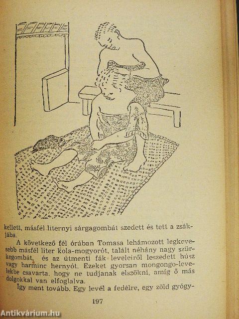 Nyolc év Kongó törpéi között