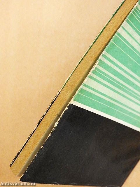 A televízió otthonunkban