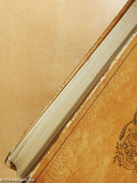 A tigrisbőrös lovag