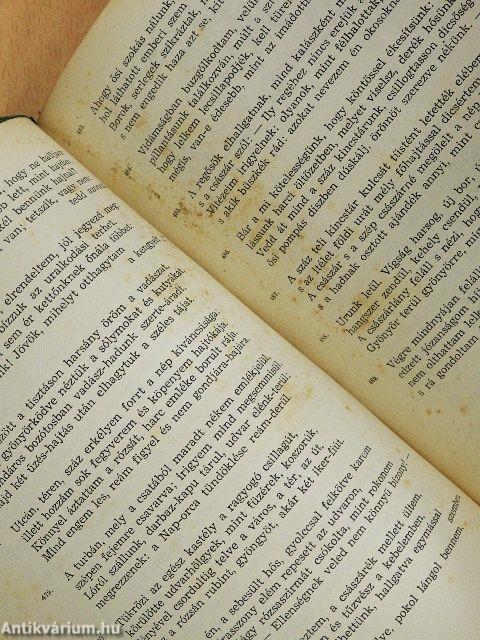 A tigrisbőrös lovag