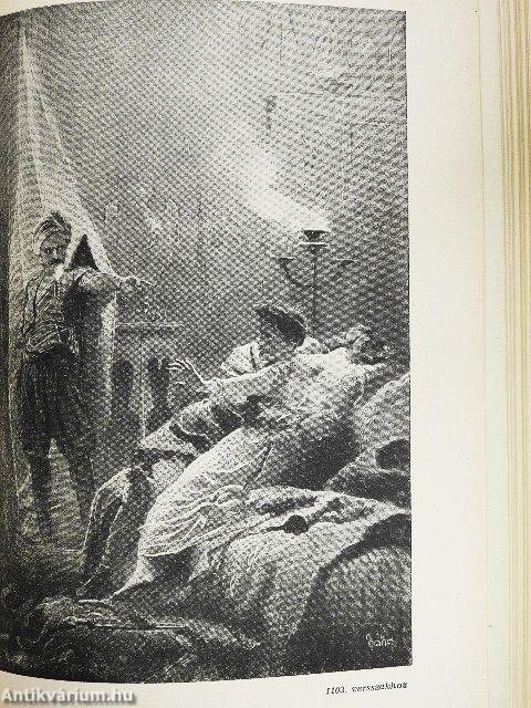 A tigrisbőrös lovag