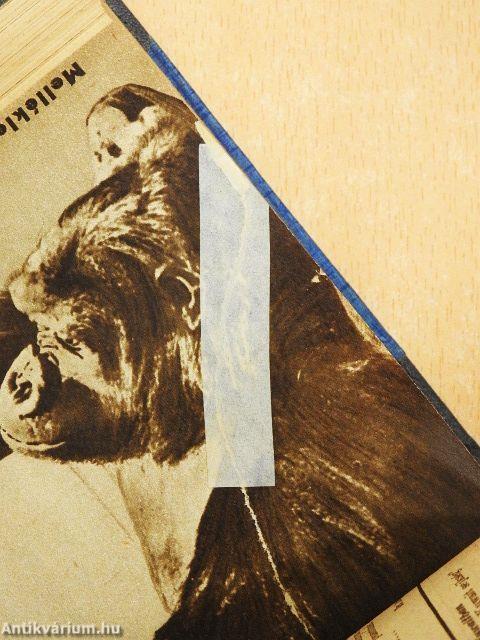 Élet és Tudomány 1963. január-december I-II.