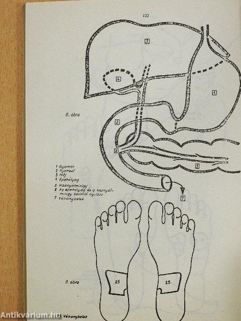 Egészség a jövőben