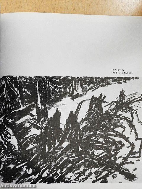 Kusztos Endre kiállítása