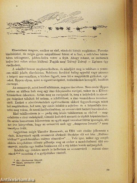 A Kilima-Ndzsárótól Nagymarosig