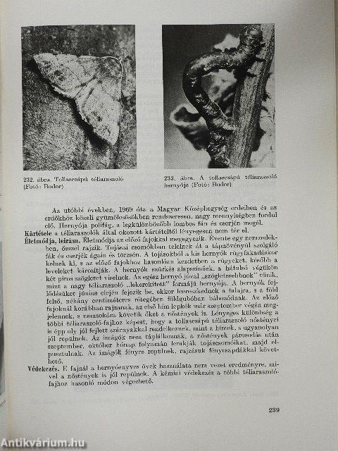 Gyümölcsfák védelme