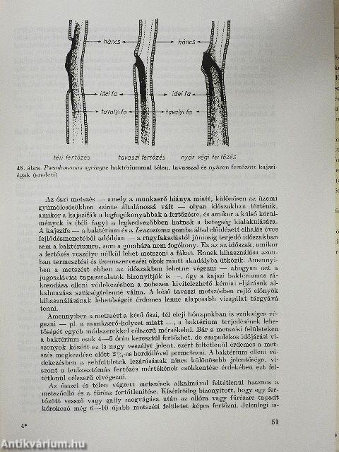 Gyümölcsfák védelme
