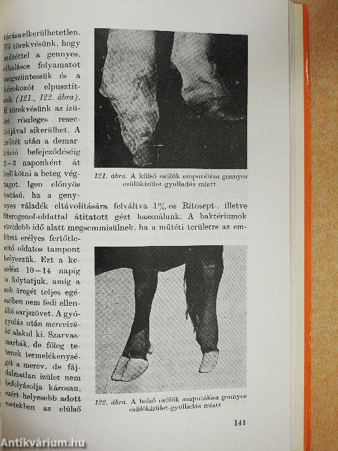 A csülök ápolása és betegségei