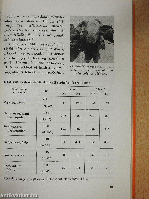 A csülök ápolása és betegségei