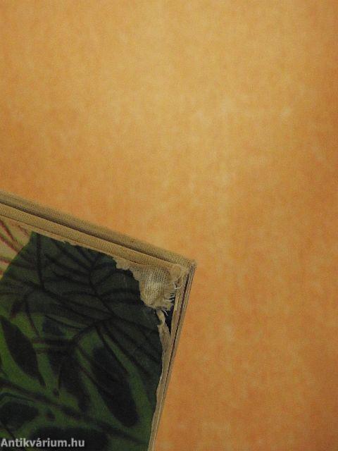 Nyúlanyó húsvétja