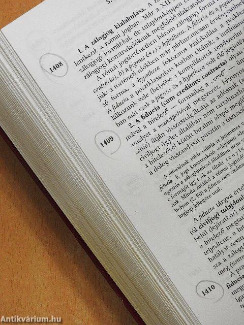 A római jog története és institúciói