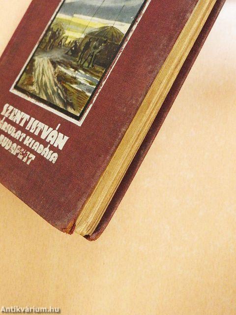 A puszták börtönében (dedikált példány) (rossz állapotú)