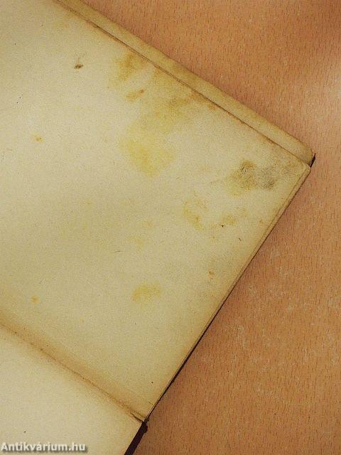 A puszták börtönében (dedikált példány) (rossz állapotú)