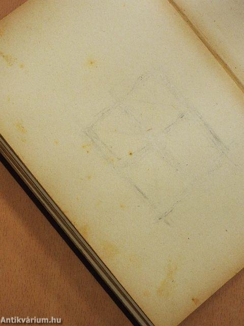 A puszták börtönében (dedikált példány) (rossz állapotú)