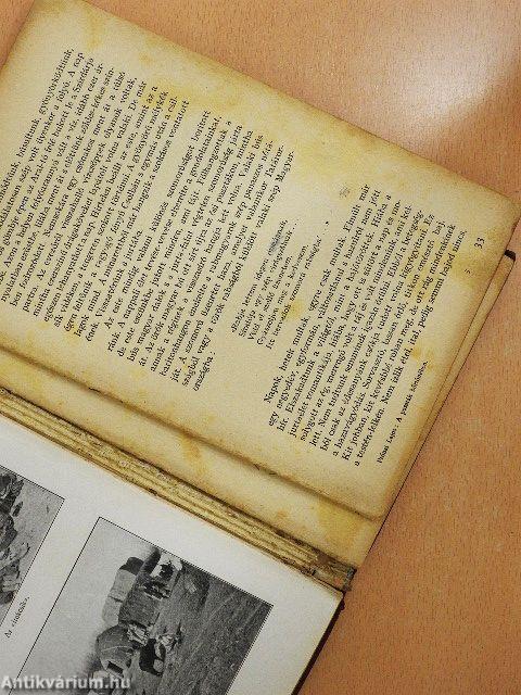 A puszták börtönében (dedikált példány) (rossz állapotú)