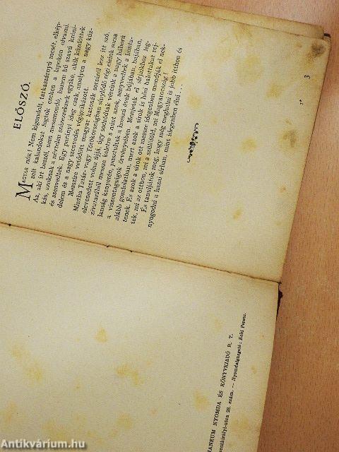 A puszták börtönében (dedikált példány) (rossz állapotú)