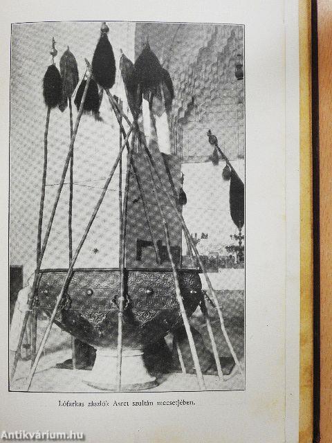 A puszták börtönében (dedikált példány) (rossz állapotú)